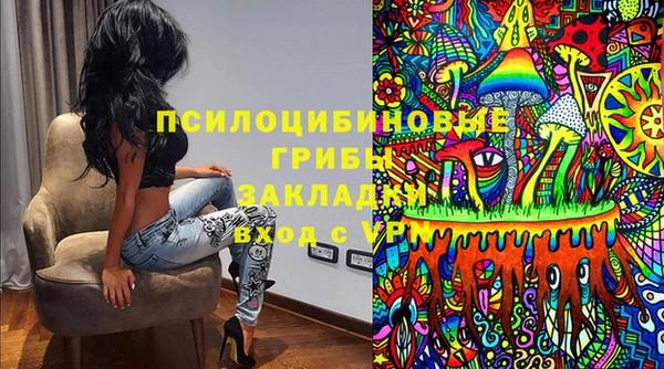 гидропоника Дмитровск
