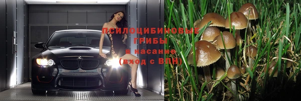 гидропоника Дмитровск