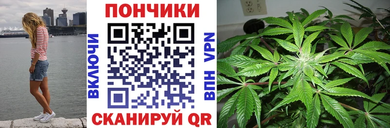 Марихуана сатива  Купить где  Разумное 